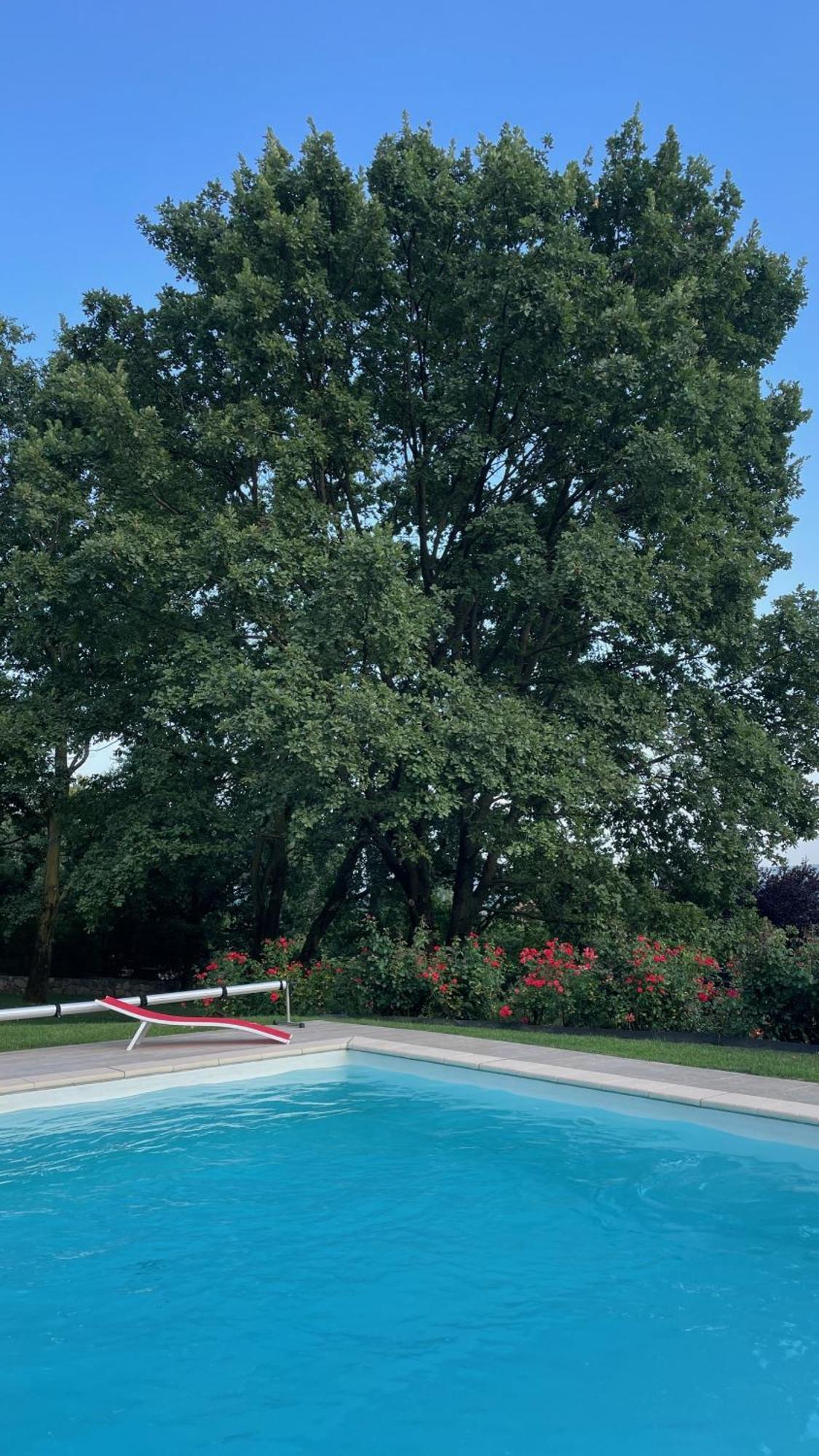 Myvilla Suites Palazzo Canavese Zewnętrze zdjęcie
